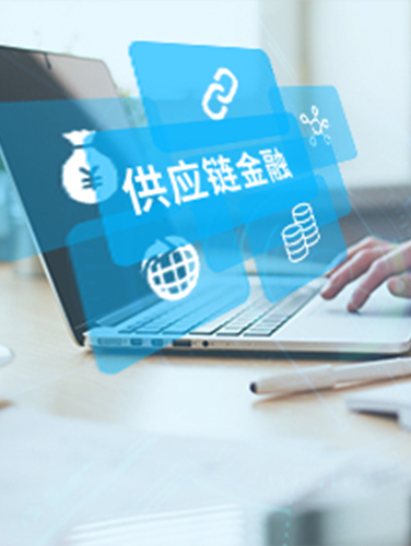 供应链金融平台-湖南不朽情缘科技_软件开发_网站建设_网络推广_视觉设计